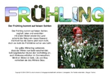 Der Frühling kommt auf leisen Sohlen-B.pdf